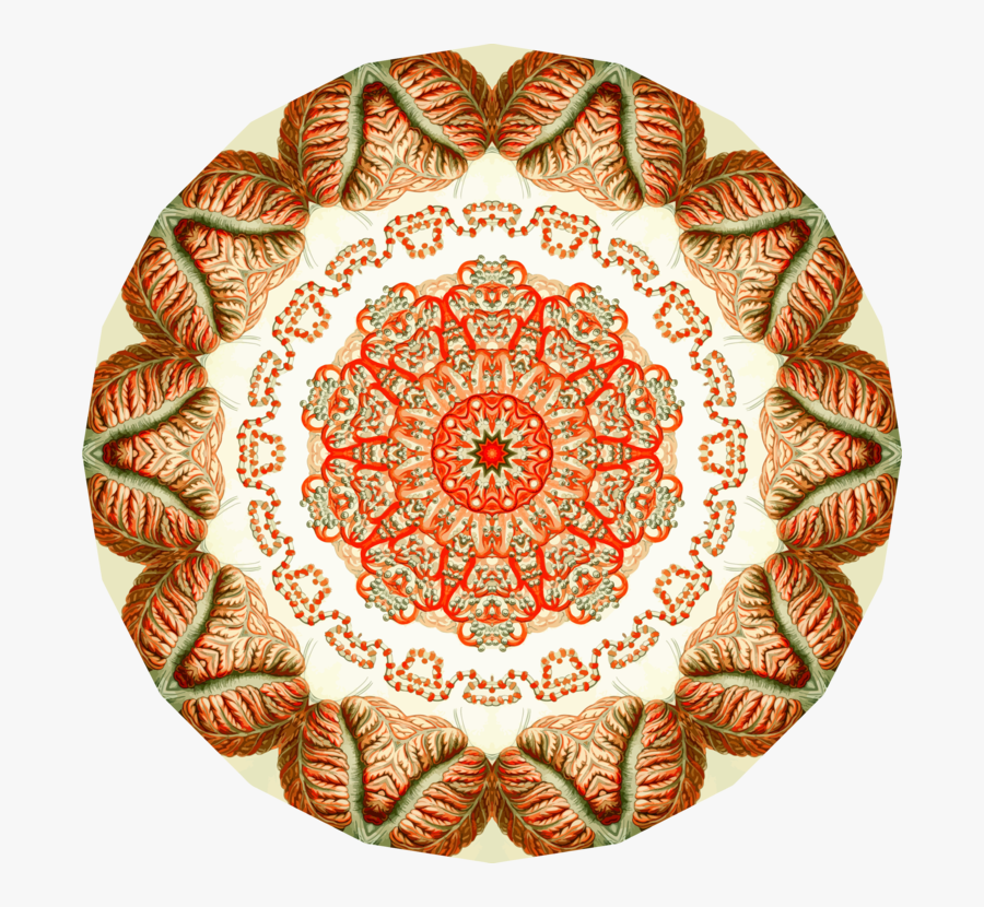 Plate,circle,dishware, Transparent Clipart