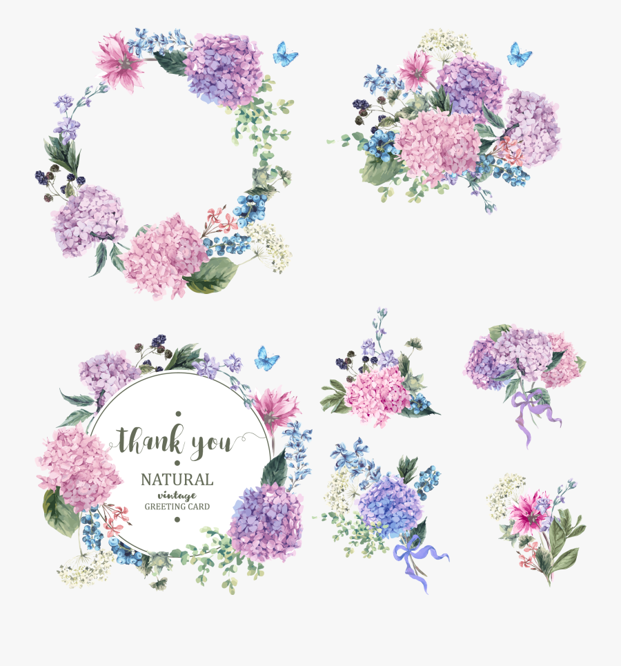 Flower Garden Blossom Hydrangea Wreath Bouquet Vector - Summer Vintage Floral Greeting Card With Blooming Hydrangea, Transparent Clipart