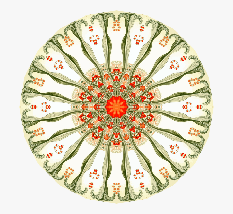 Plate,flower,tableware - Xf Forged 305 Black And Milled, Transparent Clipart