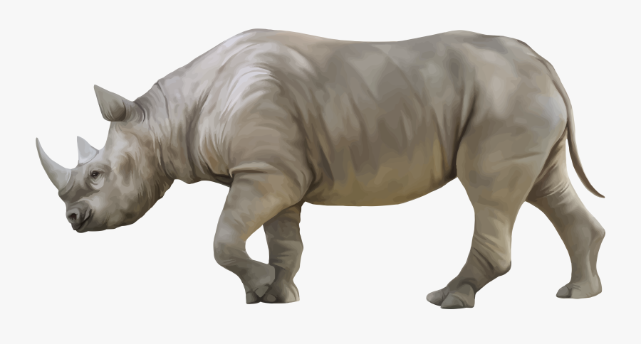 Rhino Png Clipart - Rhino Clipart, Transparent Clipart
