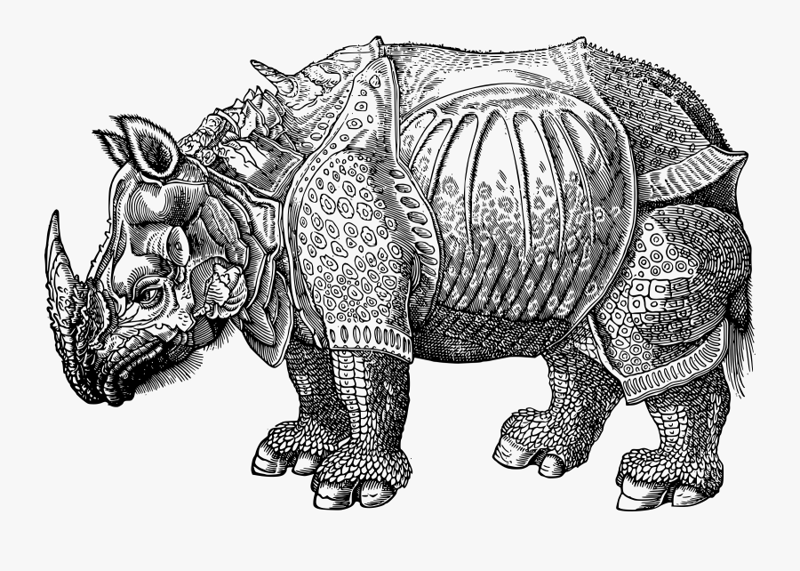 Armor Rhino Clip Arts - Conrad Gesner Historiae Animalium, Transparent Clipart