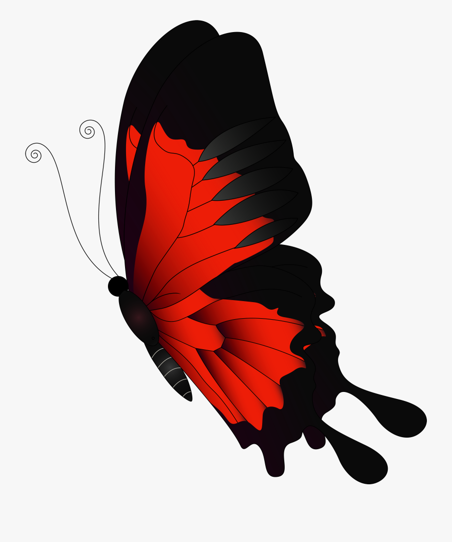 Clip Art Flying Butterflies Clipart - Red Butterfly Png Transparent, Transparent Clipart