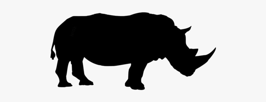 Rhinoceros Png Clipart Download - Illustration Rhino Png, Transparent Clipart