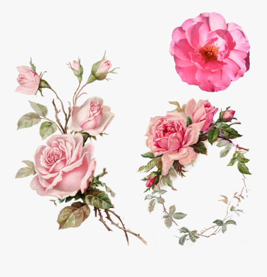 Pink Rose Vintage Clipart - Transparent Background Flower Png, Transparent Clipart