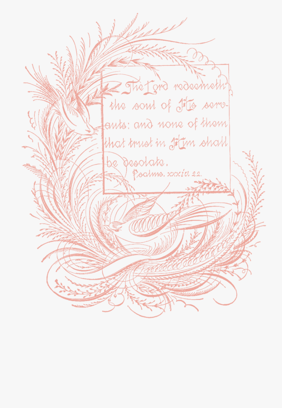 Ssfs Spencerian Calligraphy - Sketch, Transparent Clipart
