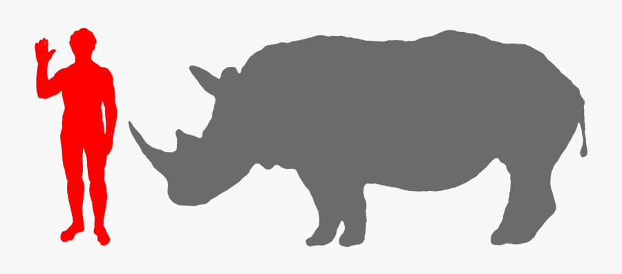 Size Compared Human Google - Size, Transparent Clipart