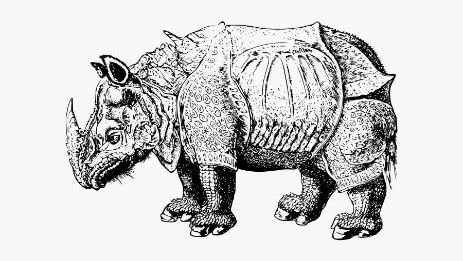 Renaissance Rhino - Clipart Rhino Outline Png, Transparent Clipart