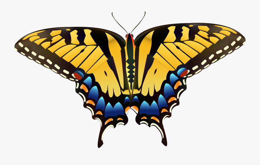 Yellow Butterfly Png Clip Art - Yellow Butterfly Clip Art, Transparent Clipart