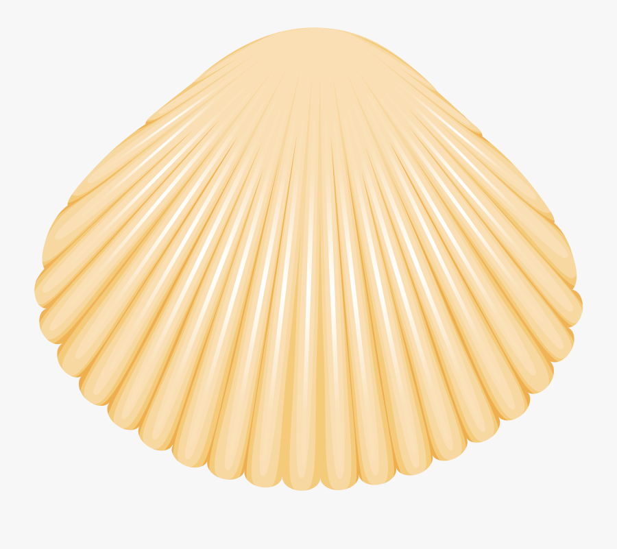 Clam Shell Png Clip Art - Cake, Transparent Clipart