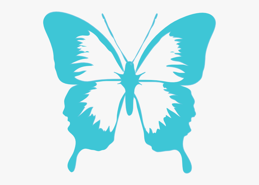 Transparent Butterfly Clipart - Butterfly Clip Art, Transparent Clipart