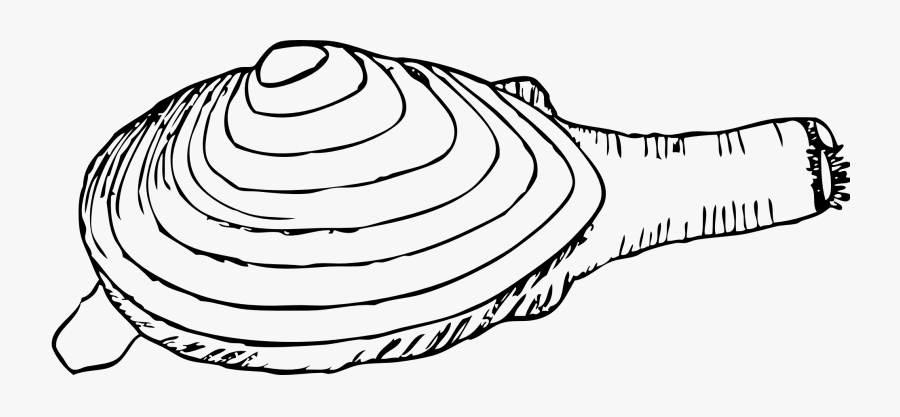 Clam Clip Art - Clam Black And White, Transparent Clipart