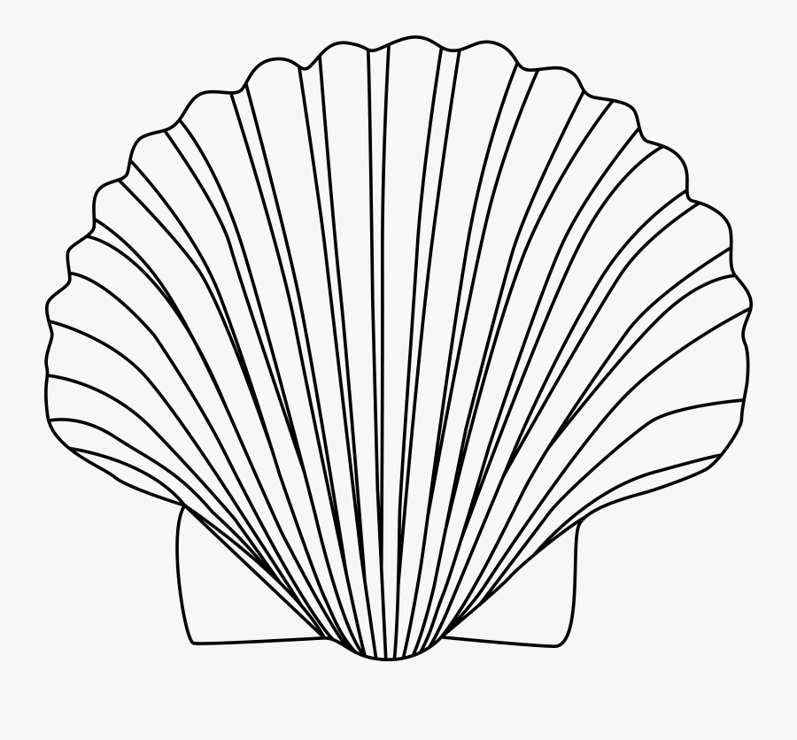 Clip Art Clam Outline - Shell Clipart Black And White, Transparent Clipart