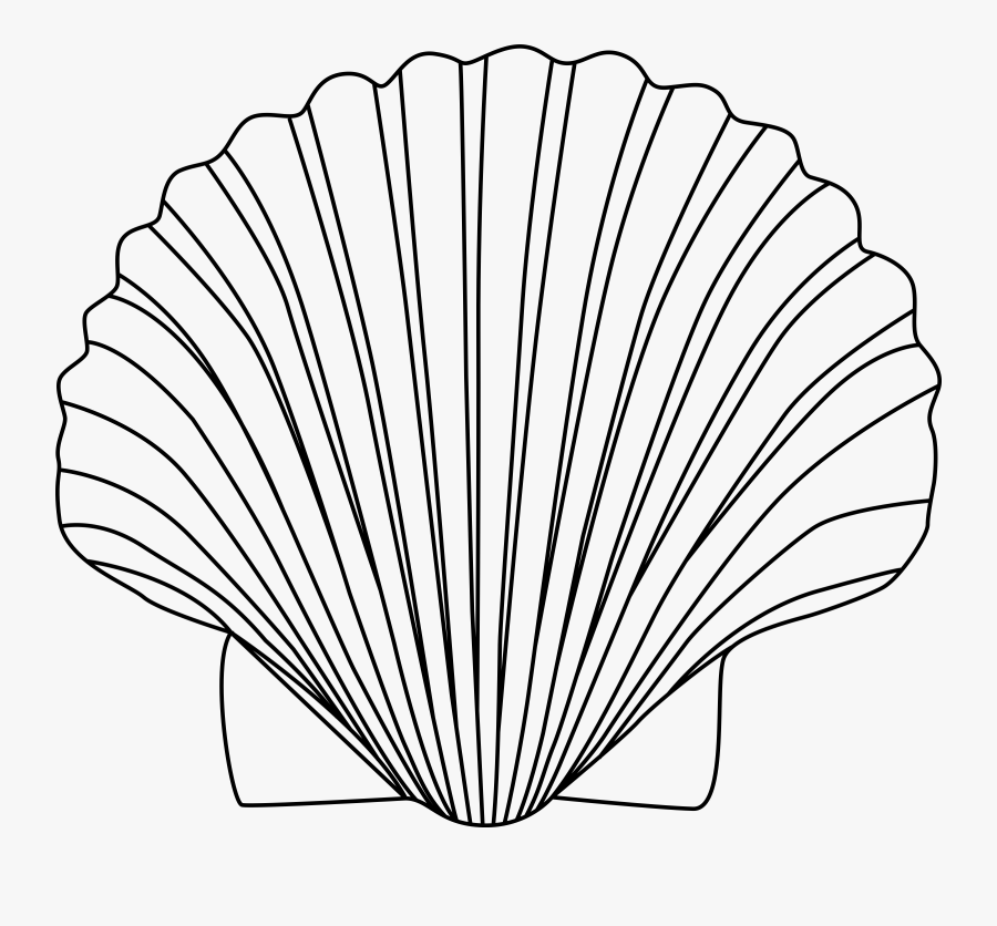 Clip Art Clam Outline Shell Clipart Black And White , Free