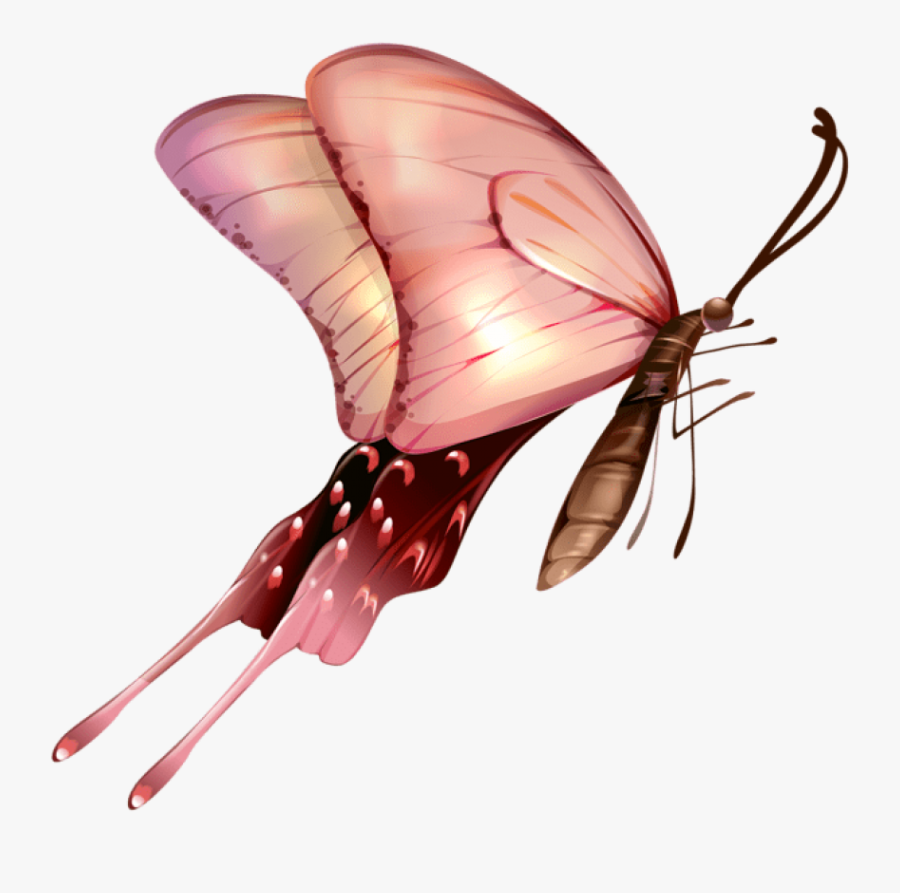 Download Butterfly Transparent Clipart Photo Top Png - Fondos De Pantalla De Mariposas, Transparent Clipart