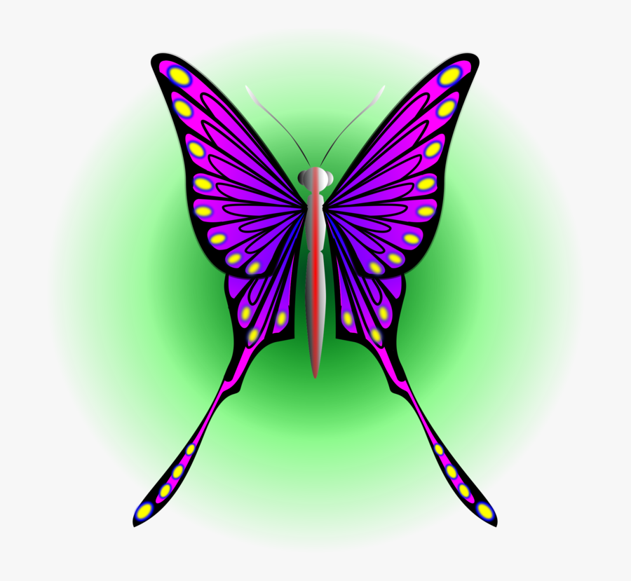 Butterfly, Transparent Clipart