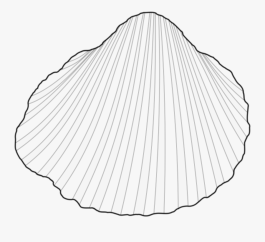 Clam Shell Clipart Download Cockles Clip Art - Cockles Clip Art, Transparent Clipart