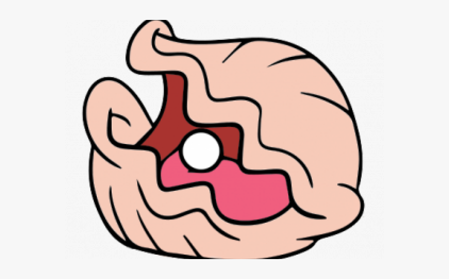 Clams Clipart Kerang - Transparent Background Clam Clip Art, Transparent Clipart