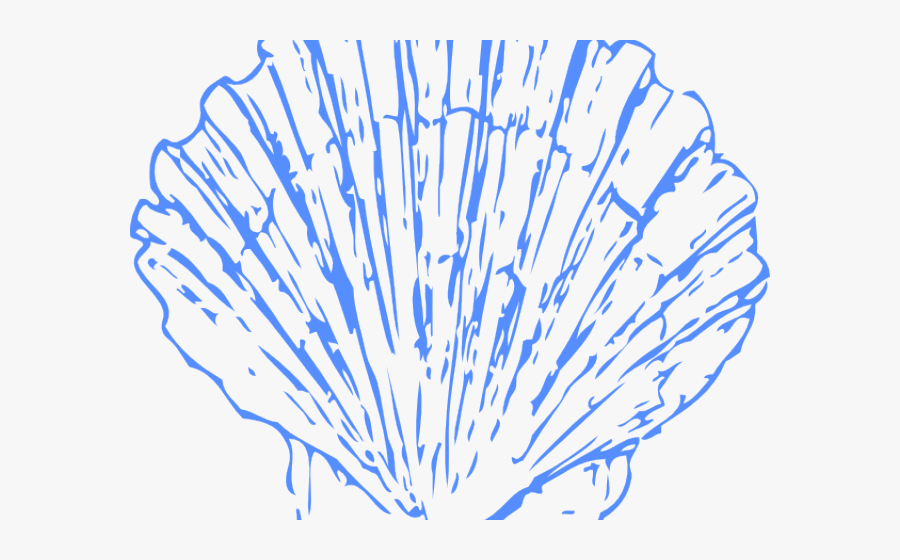 Clams Clipart Shel - Scallop Clip Art, Transparent Clipart