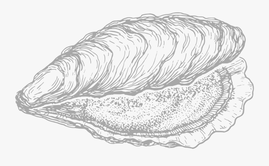 Monochrome - Clipart Oyster, Transparent Clipart
