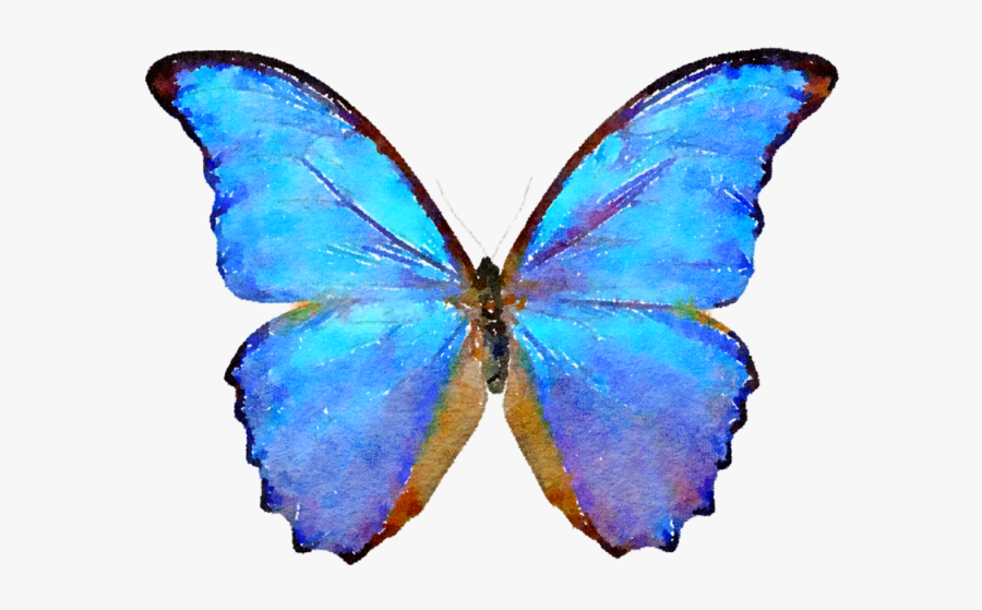 Blue Butterfly, Butterfly Clipart, Butterfly Png And - Butterfly Png, Transparent Clipart