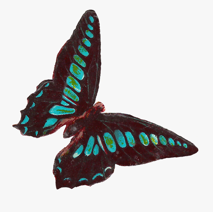 Victorian Butterfly Cliparts - Scrapbook Clipart Butterfly, Transparent Clipart