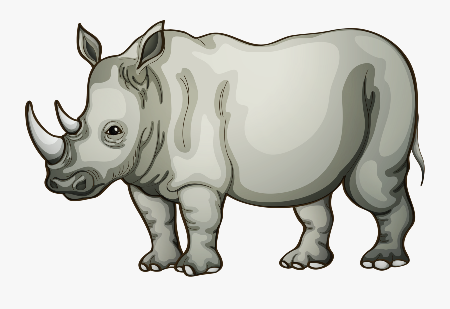 Pin By Erin Ckodre, Transparent Clipart