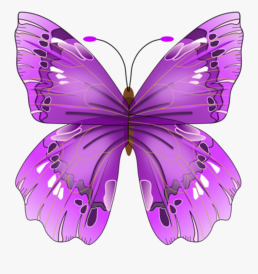 Purple Butterfly Clip Art - Purple Butterfly Gif Png, Transparent Clipart