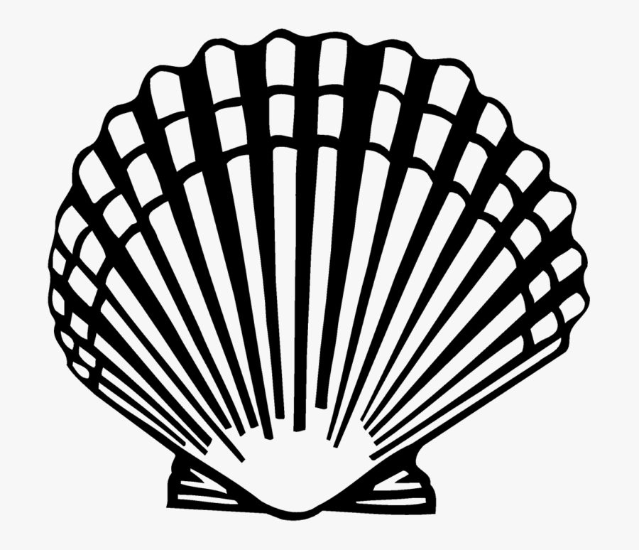 Seashell Clam Scallop Clip Art - Clam Shell Clipart Png, Transparent Clipart