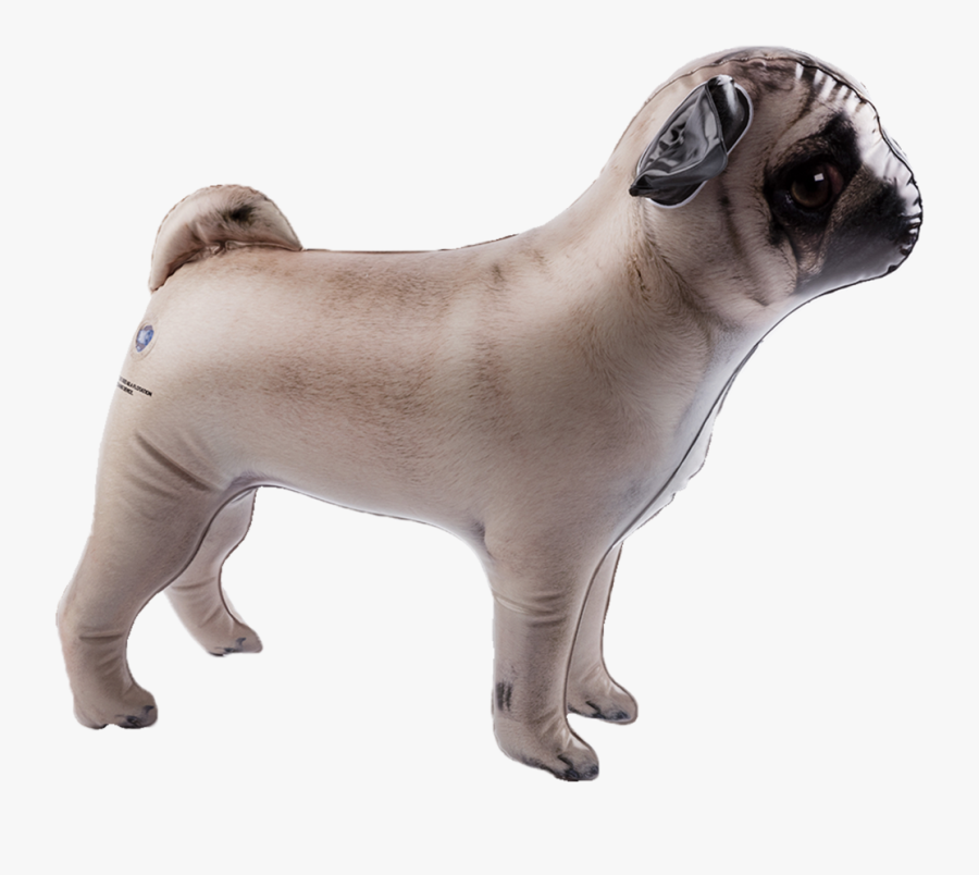 Clip Art Picture Of Pug - Pug, Transparent Clipart