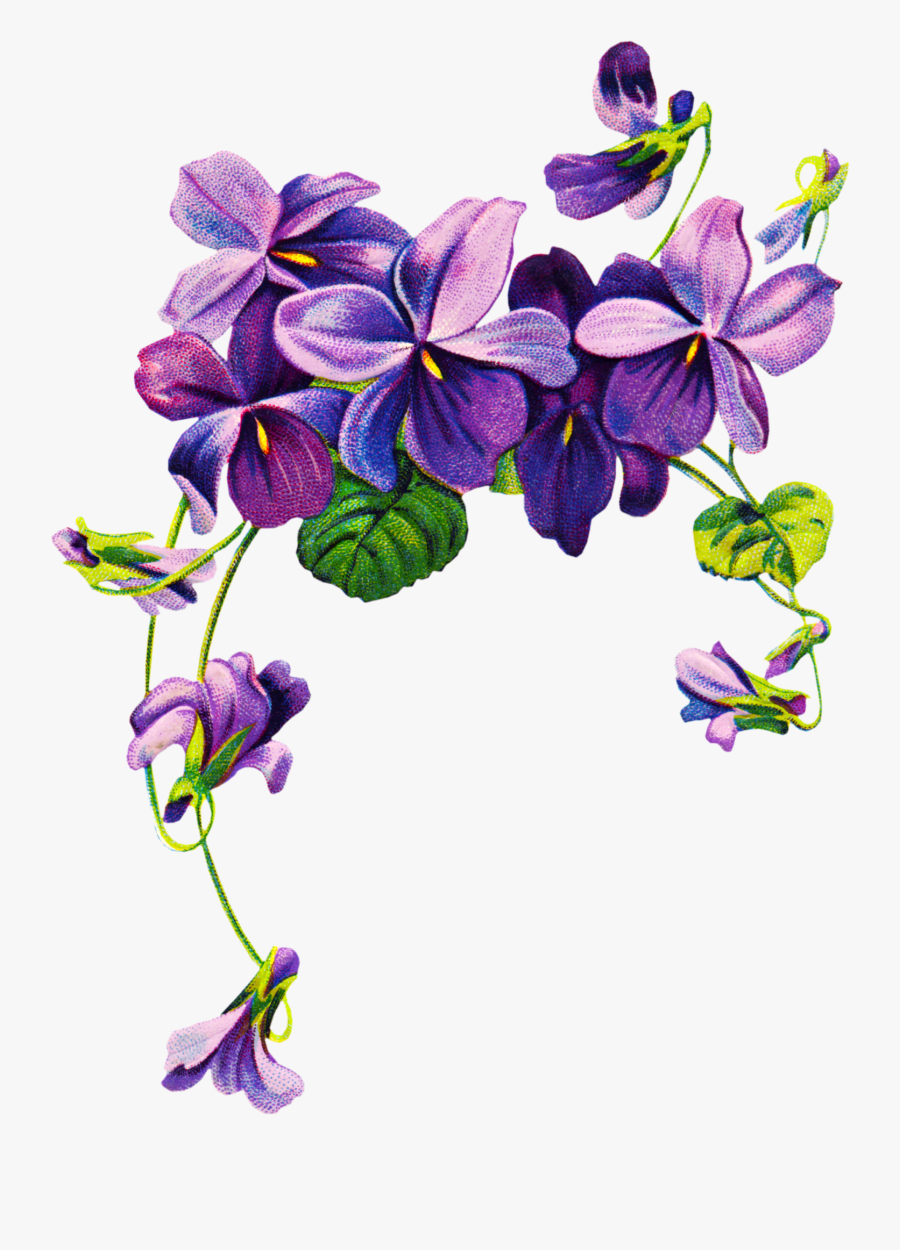 Transparent Purple Flowers Border Png, Transparent Clipart