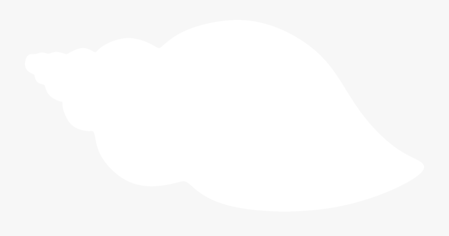 Sea Shell Silhouette At Getdrawings, Transparent Clipart