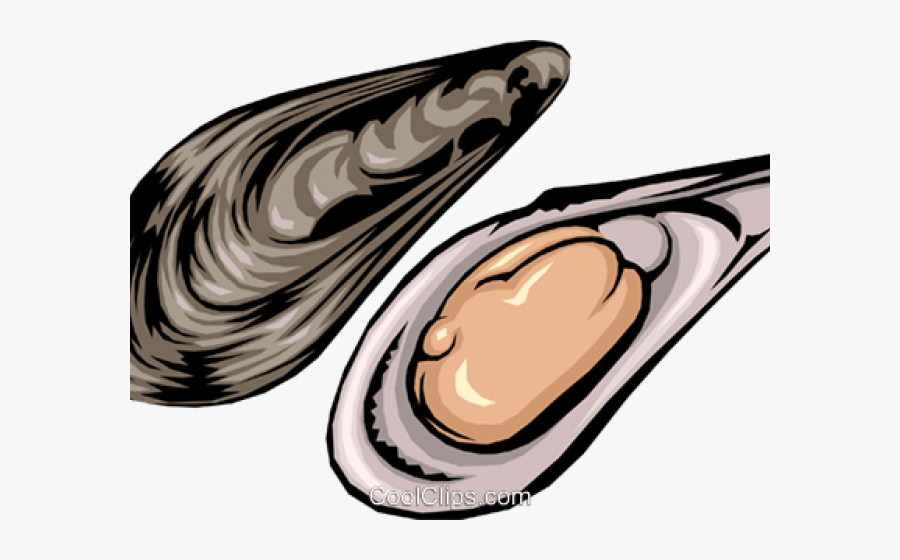 Oyster Clipart, Transparent Clipart