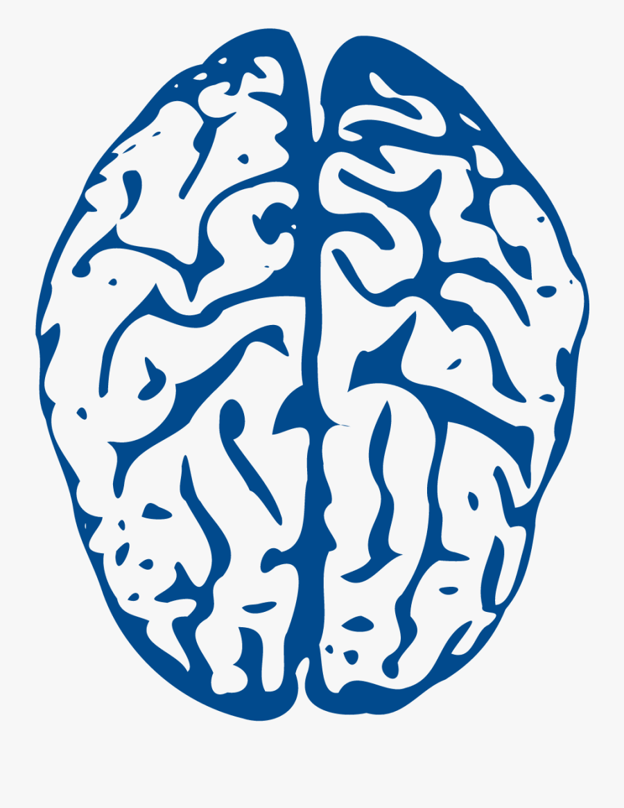 Brain Animated - Transparent Background Brain Clipart, Transparent Clipart