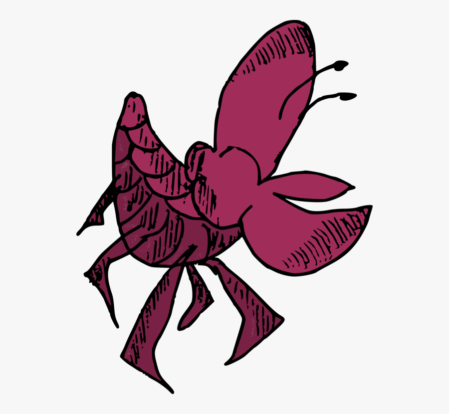 Art,moths And Butterflies,magenta - Shellfish, Transparent Clipart