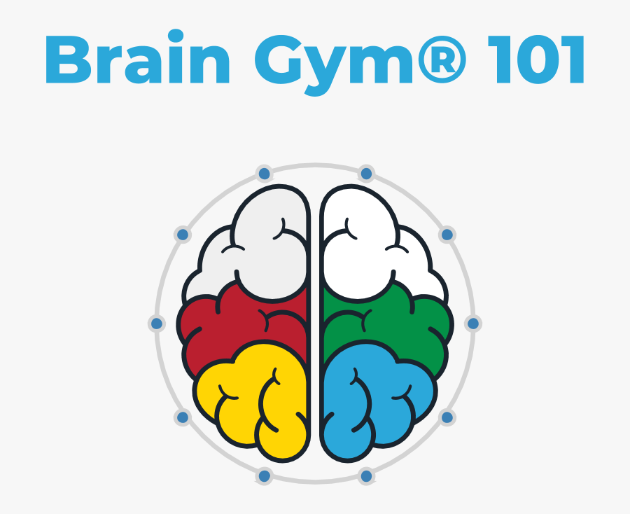 Optimal Brain Organization Clipart , Png Download, Transparent Clipart