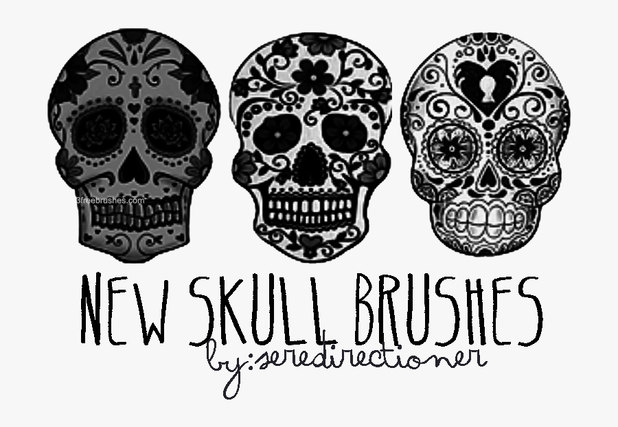 Photoshop Brushes Free Freebrushes - Skull Photoshop Brushes, Transparent Clipart