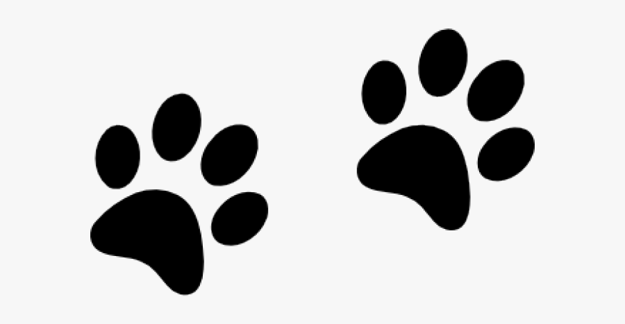 Trail Of Paw Prints, Transparent Clipart