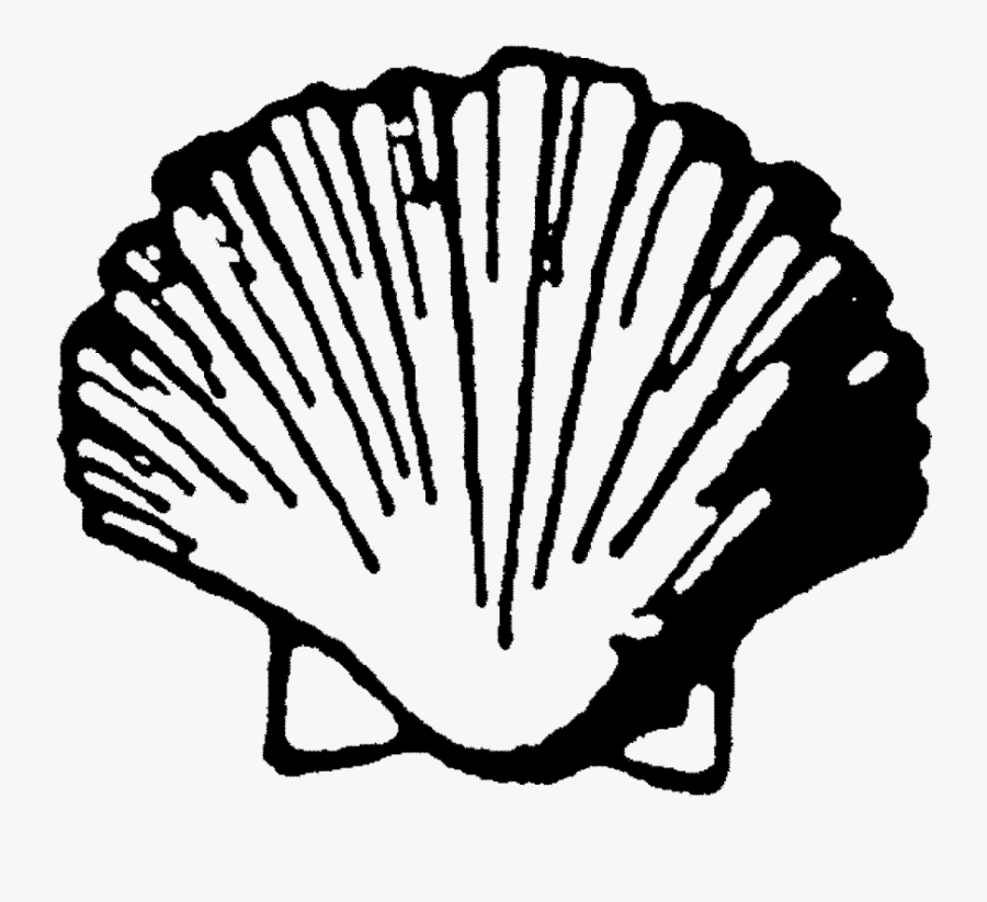 Clam Clipart Scallop - Kittansett Club Logo, Transparent Clipart