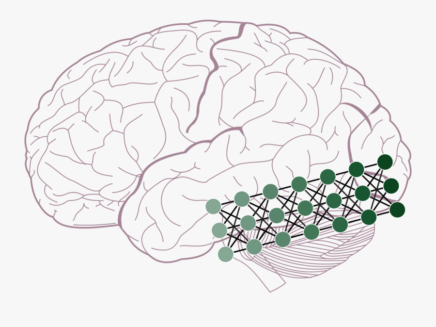 Brain Clipart Neural Network - Lobes Of The Brain, Transparent Clipart