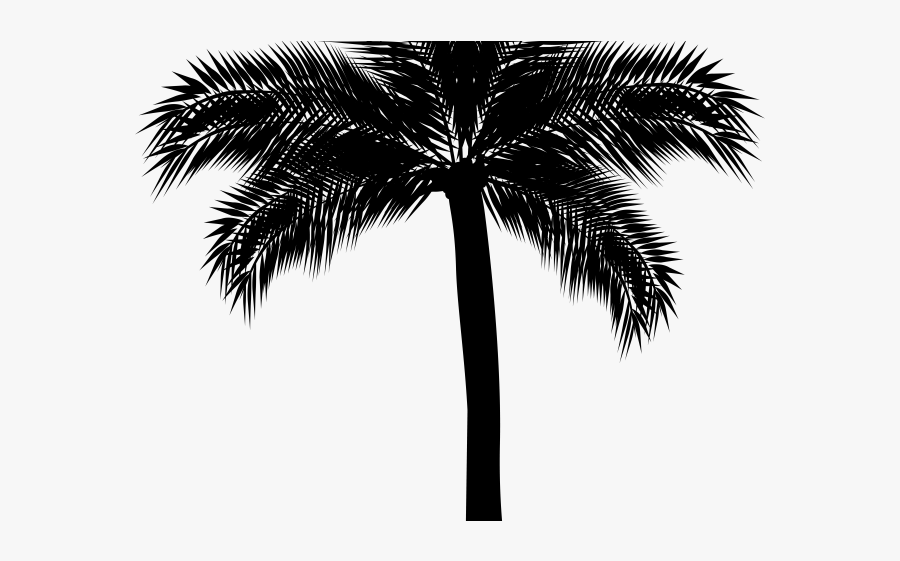 Palm Tree Silhouette Png, Transparent Clipart
