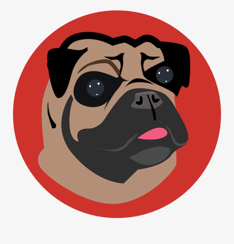 Pug, Transparent Clipart
