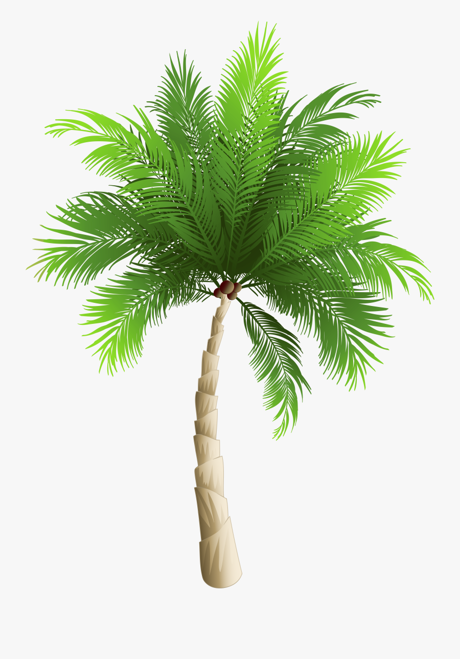 Transparent Palm Trees Clipart - Date Tree Png Clipart, Transparent Clipart