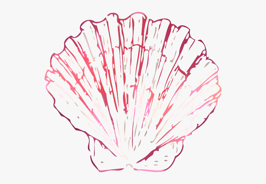 Clip Art Scallops Openclipart Clam Vector Graphics - Blue Sea Shell Transparent, Transparent Clipart