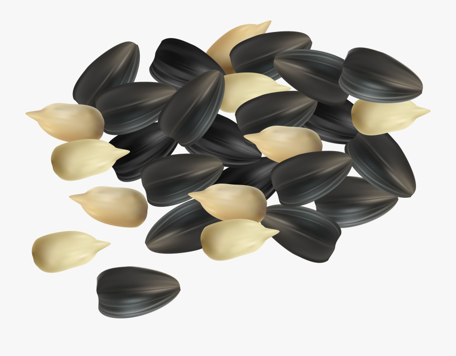 Seeds Clipart Png, Transparent Clipart