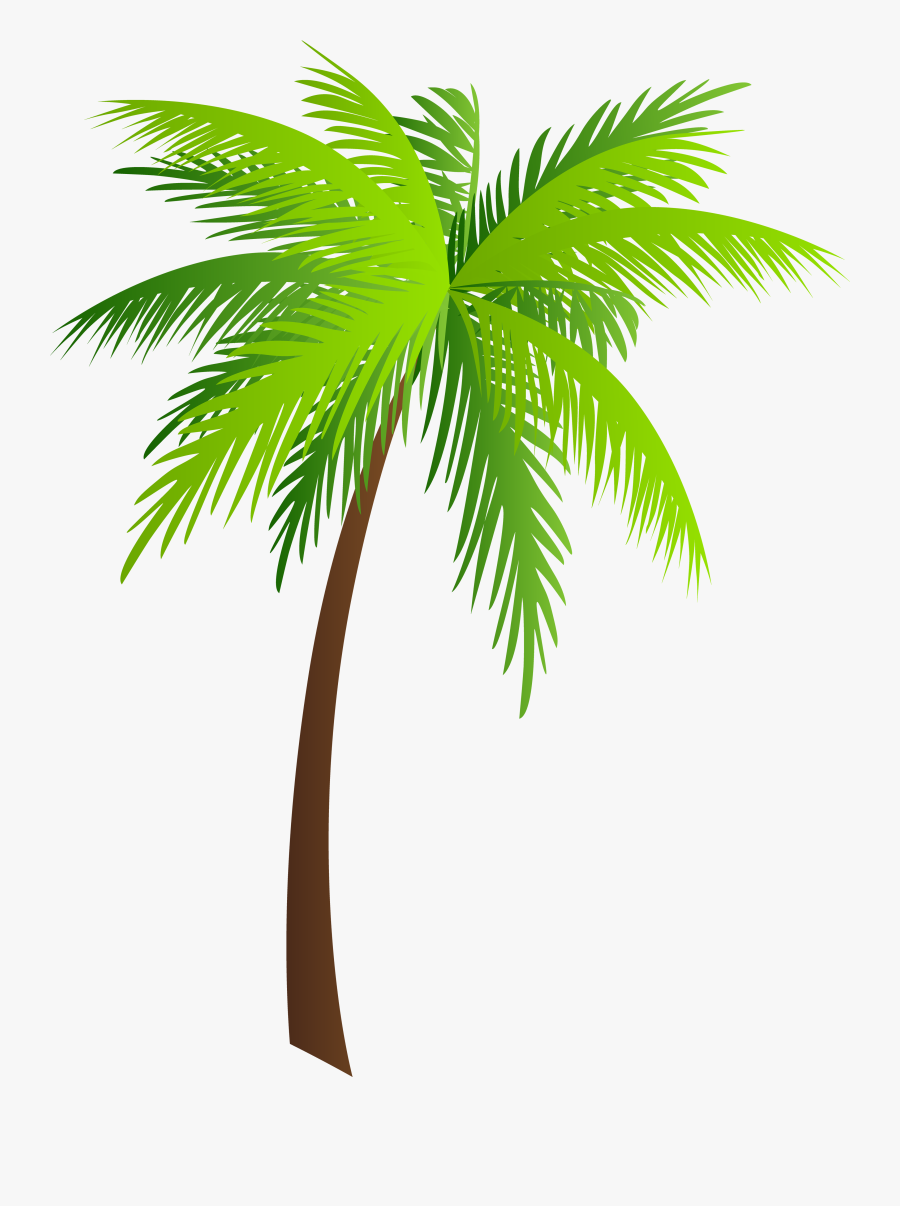Moana Clipart Palm Tree - Palm Clipart, Transparent Clipart