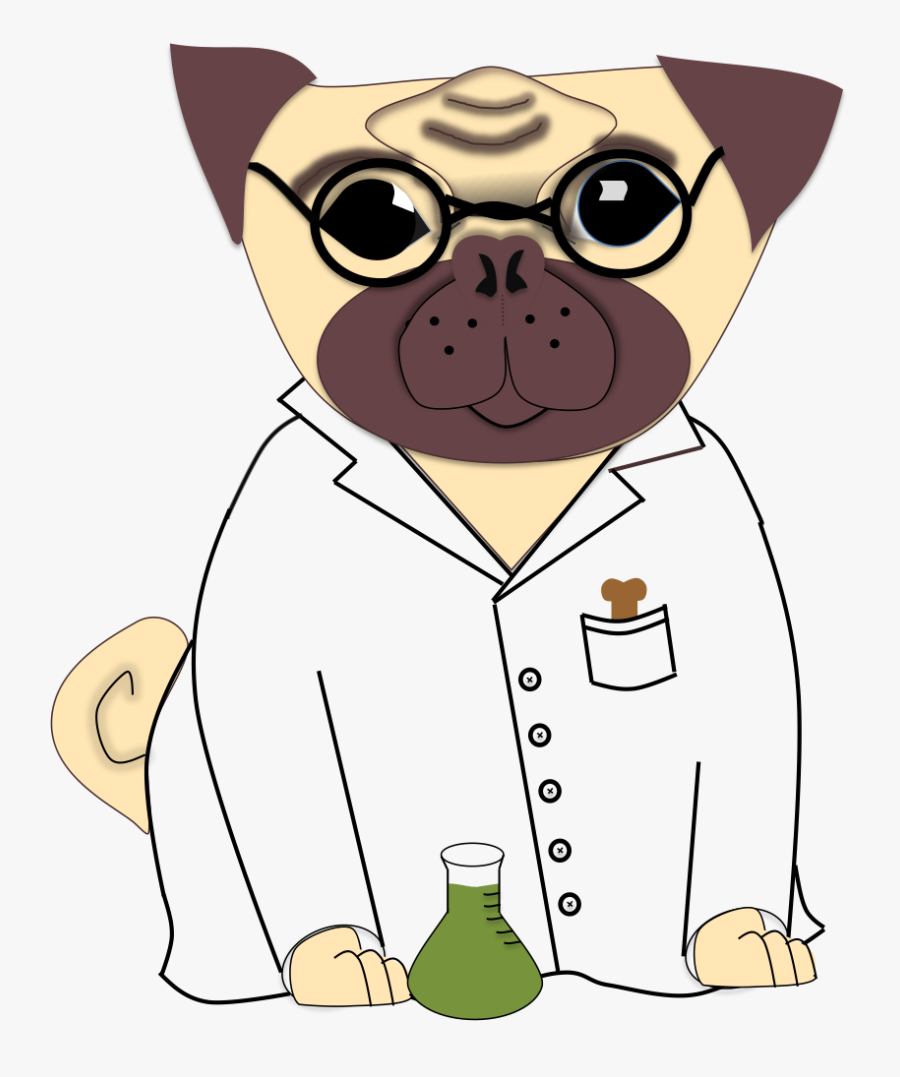 Pug Clipart, Transparent Clipart