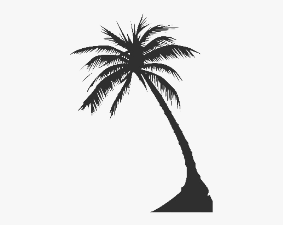 Free Download Clip Art - White Palm Tree Silhouette Png, Transparent Clipart