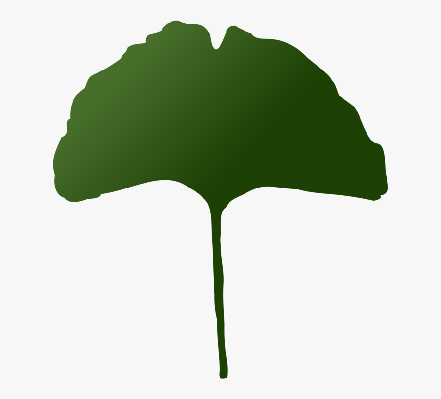 Plant,leaf,tree, Transparent Clipart