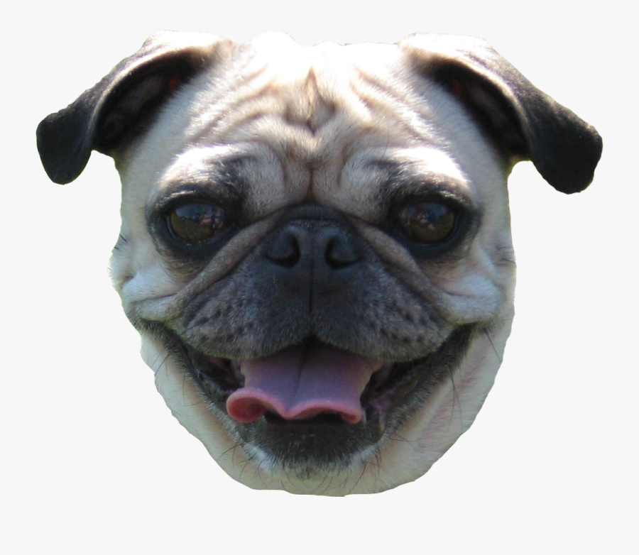 Pug Head Png - Dog Face Transparent Background, Transparent Clipart