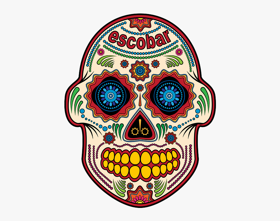 Skull, Transparent Clipart